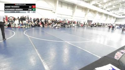 138 lbs Cons. Semi - Alexander Herrera, Mountain View vs Asher Troendle, Uintah