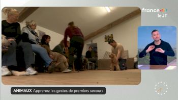 Replay: TATA testing | Dec 1 @ 3 PM