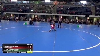 40 lbs Round 5 - Logan Reemtsma, Tea Area Titans vs Olive Yang-Elson, Summit Wrestling Academy