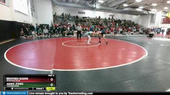 157 lbs Quarterfinal - Aiden Jones, Thunderridge vs Brayden Badini, Mountain Vista