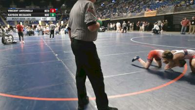 80 lbs Consy 6 - Vincent Antonelli, Methacton vs Kayson McQuate, Northern Lebanon