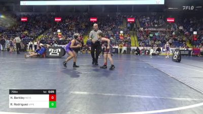 75 lbs Quarterfinal - Harper Berkley, Meyersdale vs Remington Rodriguez, Upper Dublin