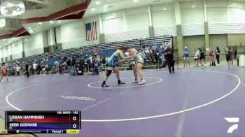 182 lbs Semifinal - Logan Hammingh, MI vs Seer Godwise, IN