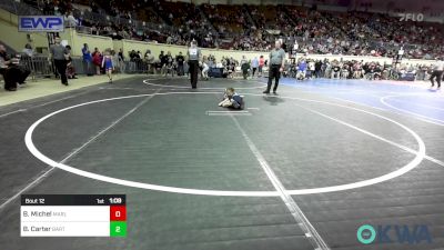 47 lbs Quarterfinal - Brylee Michel, Marlow Outlaws vs Brinley Carter, Bartlesville Wrestling Club