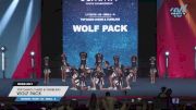 Top Dawg Cheer & Tumbling - Wolf Pack [2023 L1 Youth - D2 - Small - A Day 1] 2023 The Youth Summit