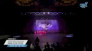 South Texas Strutters - Mini Elite Pom [2025 Mini - Pom - Small Day 2] 2025 Power Dance Grand Nationals