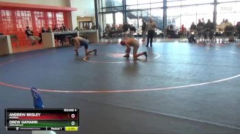 132-137 lbs Round 4 - Andrew Begley, Marion vs Drew Hamann, Urbandale