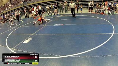 75 lbs Cons. Semi - Easton Mamalis, Green River Grapplers vs Blade Pehrson, Delta Wrestling Club