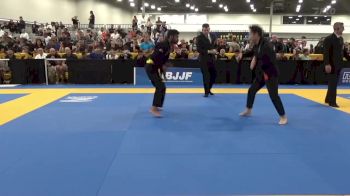 Ryota Gomi vs Javier Gomez 2024 World Masters IBJJF Jiu-Jitsu Championship