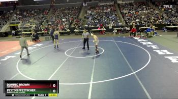 126 lbs Champ. Round 1 - Peyton Pfettscher, Evansville F.J. Reitz vs Dominic Brown, Center Grove