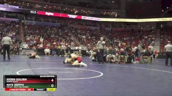 3A-126 lbs Quarterfinal - Ayden Golden, North Scott vs Nate Bierma, Valley, West Des Moines