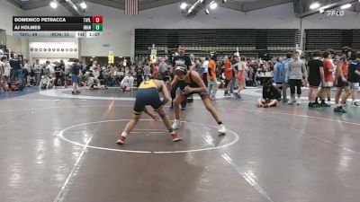 131 lbs Rr Rnd 7 - Domenico Petracca, Taylor Hammers - MSC vs Aj Holmes, Iron Wolves
