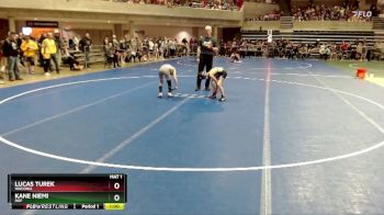 65 lbs Champ. Round 1 - Lucas Turek, Waconia vs Kane Niemi, DGF