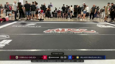 Jessica Henley vs Kelsey Venhorst 2024 ADCC Miami Open