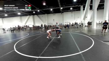 109 lbs Semifinal - Miley Jurado, Desert Dogs WC vs Brooklyn Carter, Mat Demon WC