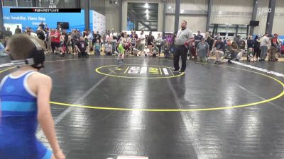58 lbs Semifinal - Dominic Dandrea, Hollidaysburg vs Zayden Peterson, Carlisle