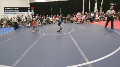 110 lbs Round 5 (6 Team) - Ethan Halstead, Rebellion vs Christian Bushy, Revival Jokers