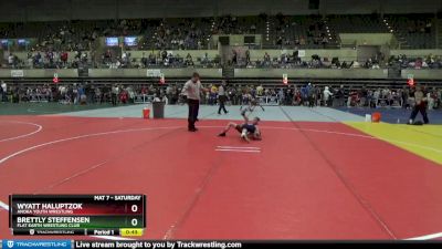 65 lbs Cons. Round 1 - Wyatt Haluptzok, Anoka Youth Wrestling vs Brettly Steffensen, Flat Earth Wrestling Club