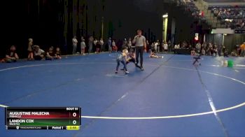 60 lbs Cons. Round 2 - Landon Cox, Pack732 vs Augustine Malecha, Pinnacle