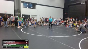 49 lbs Quarterfinal - Colton Carson, Spartanburg Wrestling Academy vs Oliver Broersma, Cane Bay Cobras