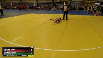 65 lbs Semis & 1st Wrestleback (8 Team) - Declan Timm, Pine Island vs Charlie Jarva, Grand Rapids