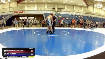 165 lbs Cons. Round 4 - Bronson Hertenstein, OH vs Drake Hurley, MI