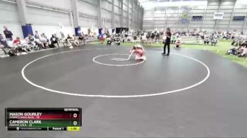 145 lbs Semis & 3rd Wb (16 Team) - Mason Gourley, Pennsylvania Blue vs Cameron Clark, Indiana Gold