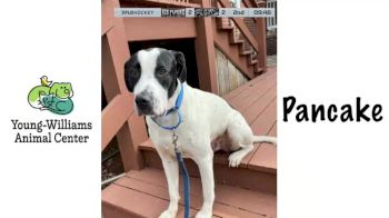 Replay: Home - 2024 Pensacola vs Knoxville | Feb 24 @ 7 PM