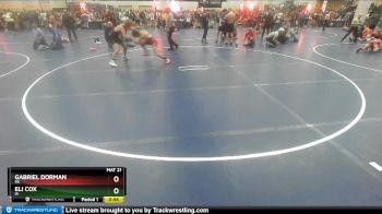 136 lbs Champ. Round 2 - Gabriel Dorman, PA vs Eli Cox, IA