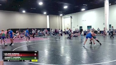 190 lbs Round 2 (6 Team) - Garrett Hansen, Nebraska Smash (Dev A) vs Leland Korona, Team Michigan Blue - DEV