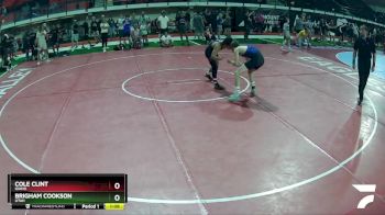 132 lbs Quarterfinal - Cole Clint, Idaho vs Brigham Cookson, Utah