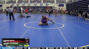 165 lbs Cons. Round 4 - Michael Holtsberry, SWANTON vs Dameon Wolfe, BRYAN