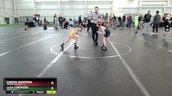 48 lbs Round 5 (6 Team) - Carson Shaffron, Armory Athletics vs Luca Cortazzo, South Hills