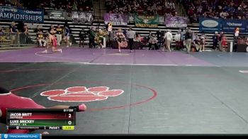 D 1 120 lbs Champ. Round 2 - Luke Brickey, Catholic - B.R. vs Jacob Britt, Destrehan