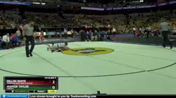 113 lbs Quarterfinal - Hunter Taylor, Liberty vs Dillon White, Christian Brothers College