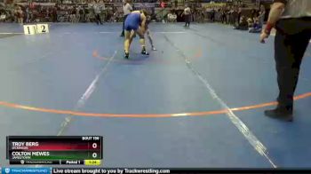 160 lbs Quarterfinal - Colton Mewes, Jamestown vs Troy Berg, Dickinson