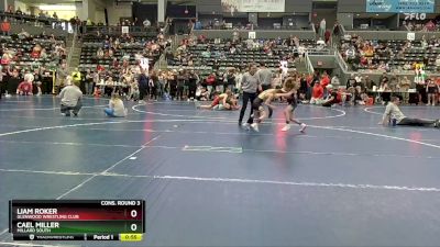 65 lbs Cons. Round 3 - Cael Miller, Millard South vs Liam Roker, Glenwood Wrestling Club