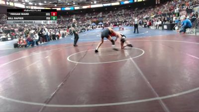 3A 144 lbs Champ. Round 1 - Teegan Ward, Declo vs Bill Rapier, Priest River