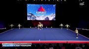 Texas Wolverine All Stars - Platinum Blades [2026 L4 Senior Open Coed - D2 Finals] 2026 The D2 Summit