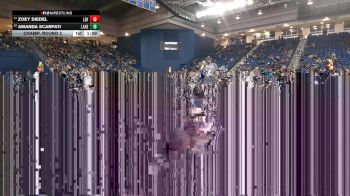 110 lbs Champ. Round 2 - Amanda Scarpati, Lakeland Regional vs Zoey Diedel, Lehighton Area