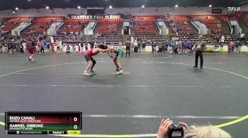 145 lbs Cons. Round 5 - Enzo Canali, Victory Elite Wrestling vs Gabriel Gibbons, Wyandotte Bears