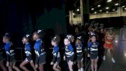 Core Cheer Ltd. - Apopka Blue Darters [2025 Tiny Mite Day 1] 2025 Pop Warner National Cheer & Dance Championship