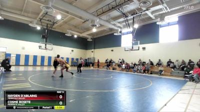 132 lbs Semifinal - Hayden D`Ablaing, Temecula Valley vs Cosme Rosete, Murrieta Valley