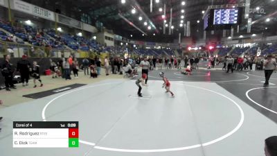 40 lbs Consi Of 4 - Rogan Rodriguez, Steel City Reloaded vs Carson Dick, Team Grand Valley Elite