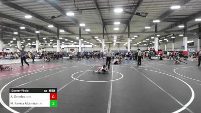 43 lbs Quarterfinal - Andres Judah Ornelas, Desert Dogs WC vs Molly Favela Altamirano, Sunnyside WC