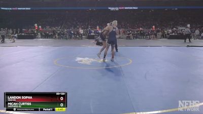 D3-120 lbs Champ. Round 1 - Landon Sopha, Yale HS vs Micah Curtiss, Shepherd HS