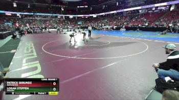 D1-120 lbs Cons. Round 1 - Patrick Skrundz, Burlington vs Logan Steffen, Oregon