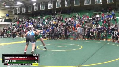 215 lbs Cons. Round 4 - Nathanial Shenberger, Midview vs Cass Chiesa, Delta