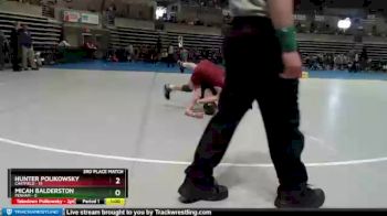 115 lbs Placement (4 Team) - Micah Balderston, Perham vs Hunter Polikowsky, Chatfield