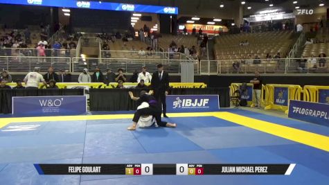 Julian Michael Perez vs Felipe Goulart 2025 Pan Jiu Jitsu IBJJF Championship